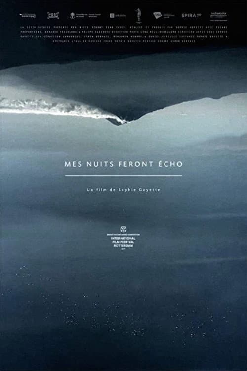Mes nuits feront écho (2016) poster
