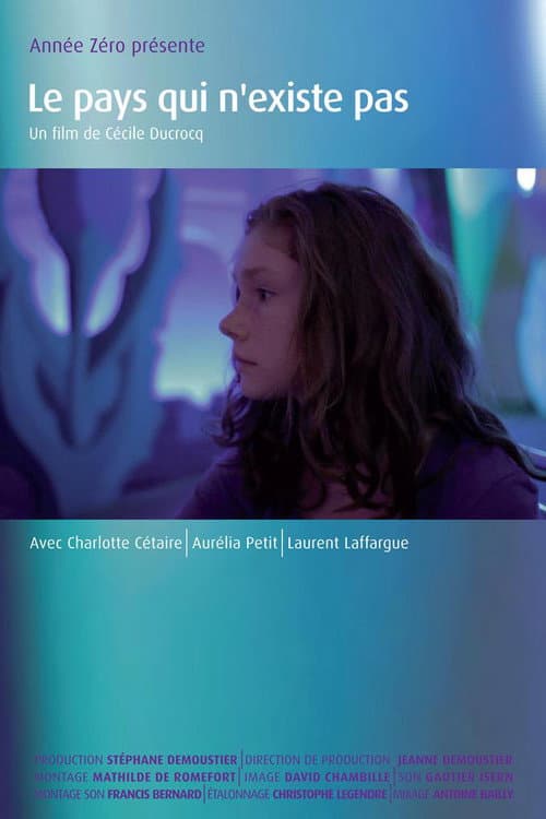 Le pays qui n'existe pas (2012) poster