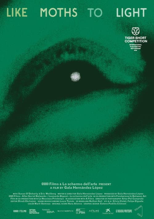 like moths to light (2026) poster