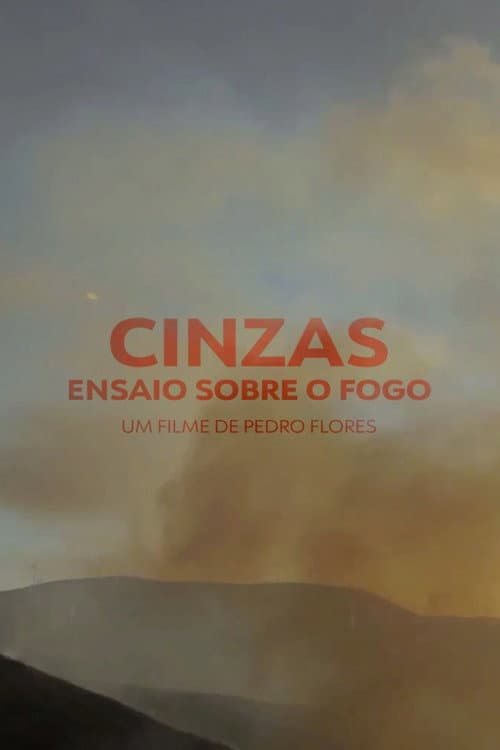 Cinzas, Ensaio Sobre o Fogo (2012) poster
