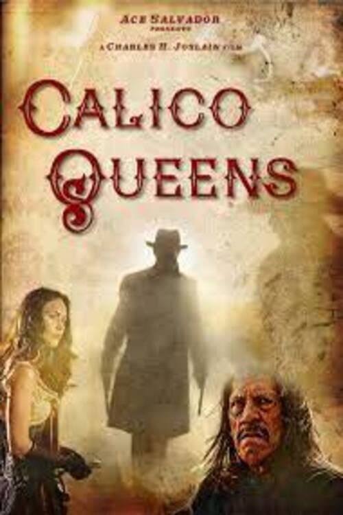 Calico Queens (2017) poster