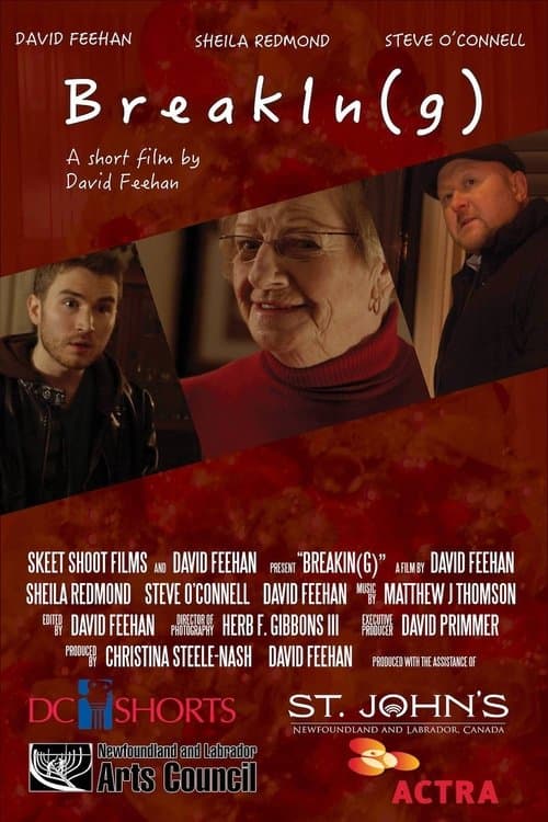 BreakIn(g) (2015) poster