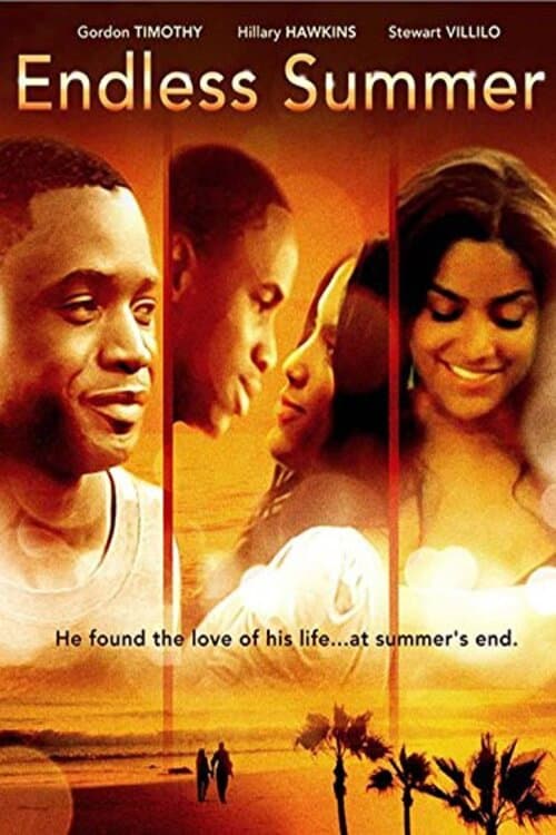 Endless Summer (2012) poster