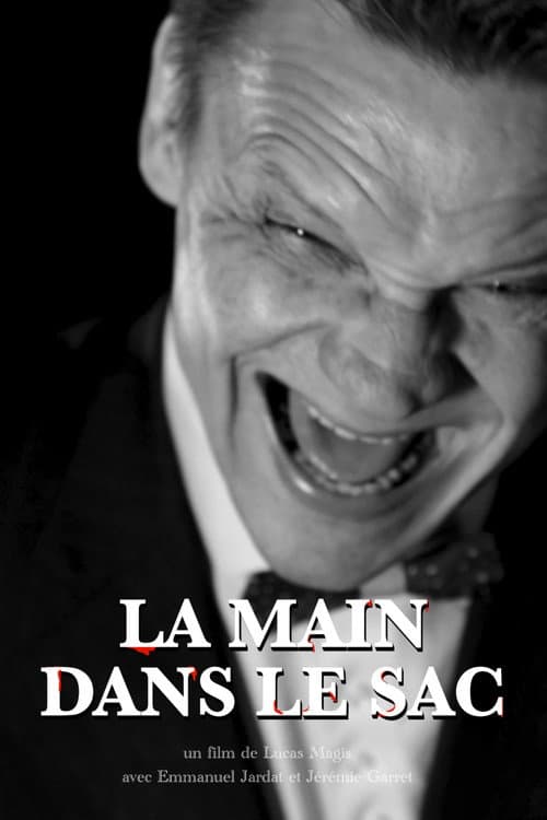 La Main dans le sac (2024) poster