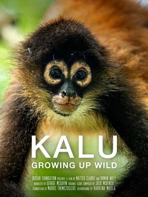 Kalu: Creciendo Salvaje (2023) poster