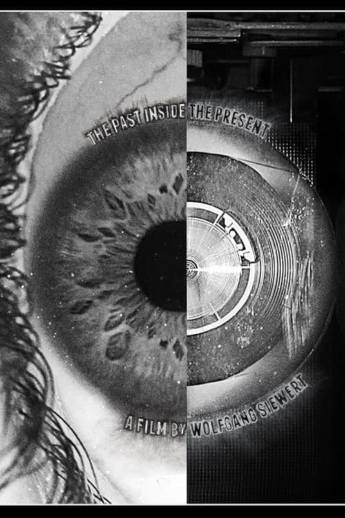The Past Inside The Present (2016) poster