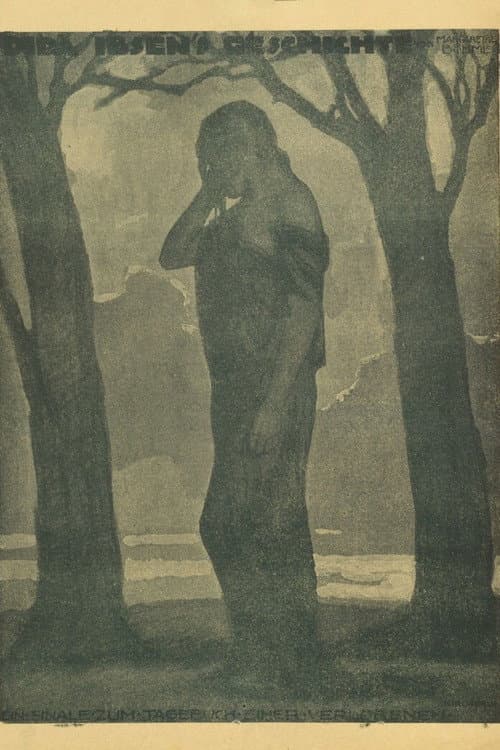 Dida Ibsens Geschichte (1918) poster
