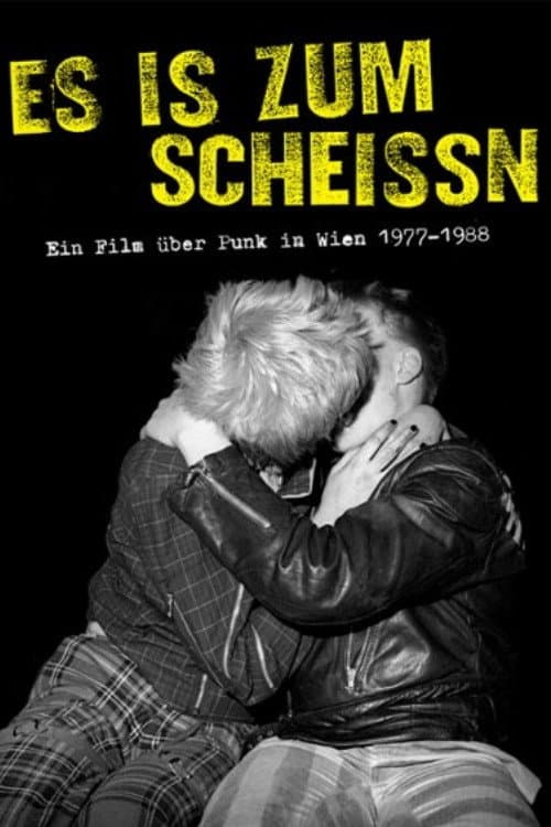 Es is zum scheissn (2020) poster
