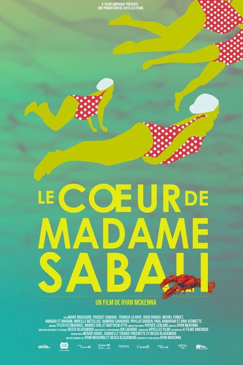 Le Cœur de Madame Sabali (2015) poster