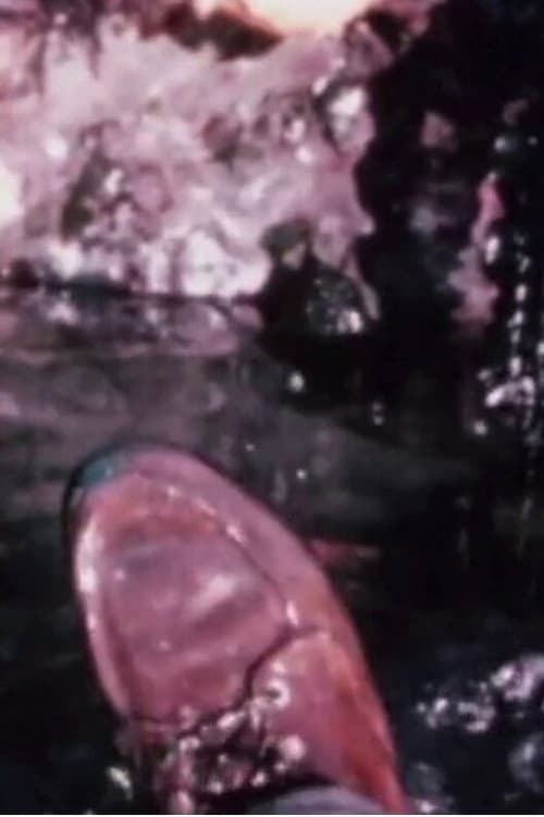 Cleansed II (1969) poster