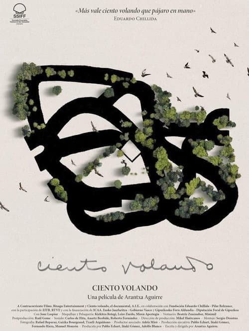 Ciento volando (2025) poster