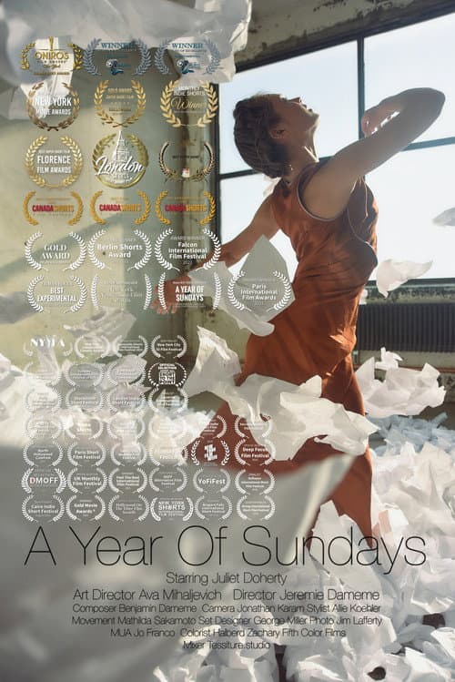 A Year of Sundays (2021) poster