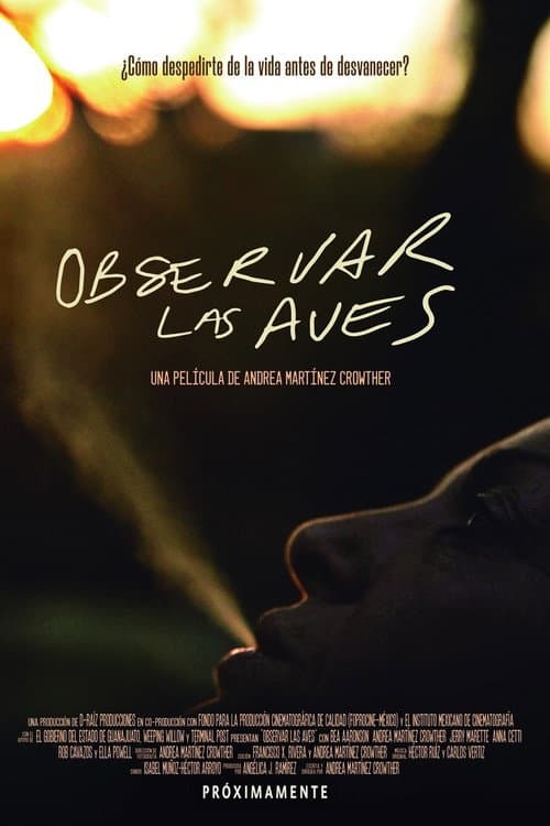 Observar las aves (2019) poster