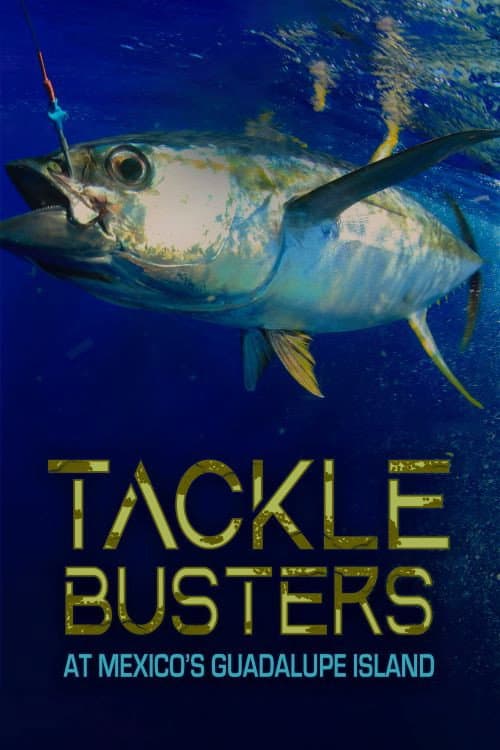 Tackle Busters at Mexico's Guadalupe Island (2020) poster