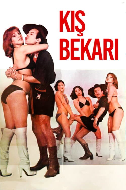 Kış Bekarı (1979) poster