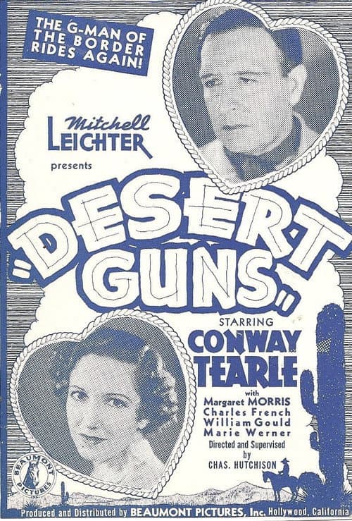 Desert Guns (1936) poster