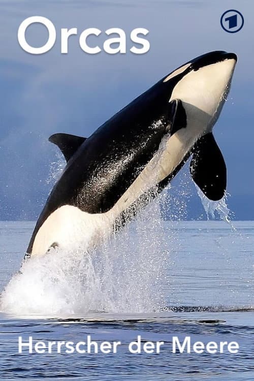 Orcas - Herrscher der Meere (2024) poster