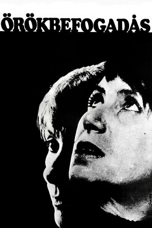 Örökbefogadás (1975) poster