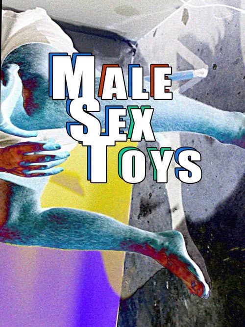 Male Sex Toys (2016) poster