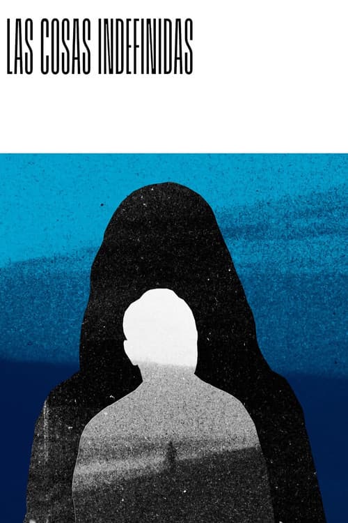 Las cosas indefinidas (2023) poster