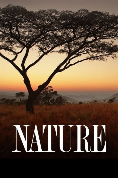 Nature (1982) poster