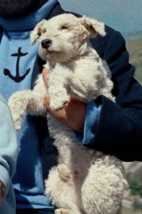 Milo foto
