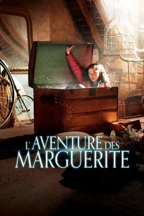 L'Aventure des Marguerite (2020) poster
