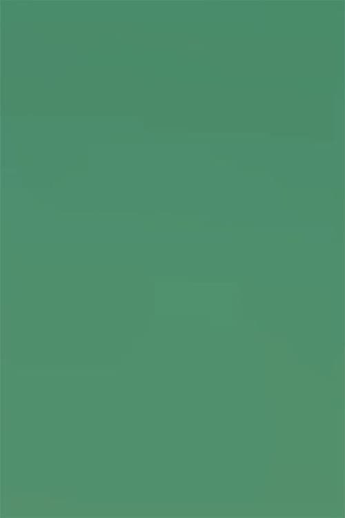 Shimmering Substance (Shmr3) (2002) poster
