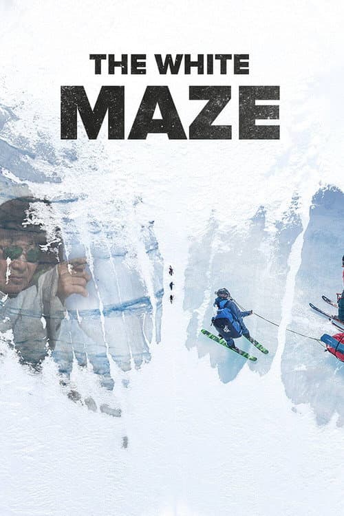 The White Maze: There Is Always a Way (2016) poster