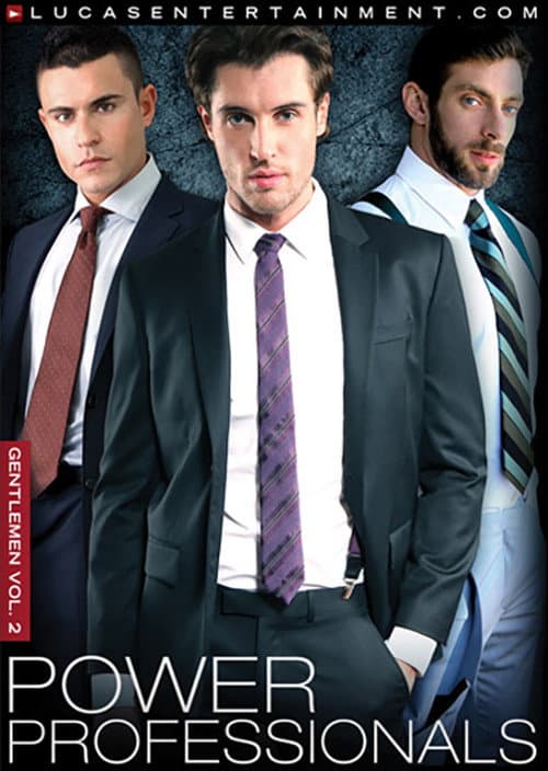 Gentlemen 02: Power Professionals (2011) poster