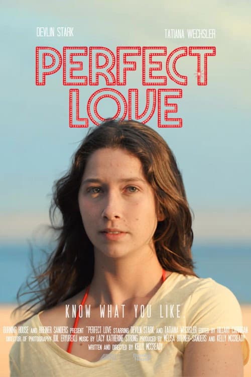 Perfect Love (2026) poster