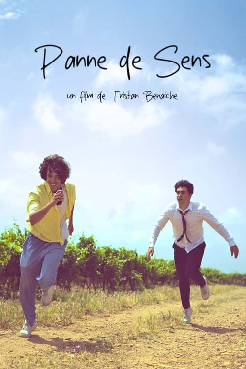 Panne De Sens (2025) poster