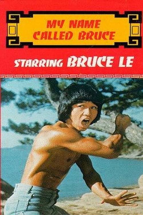Pi li long quan (1978) poster