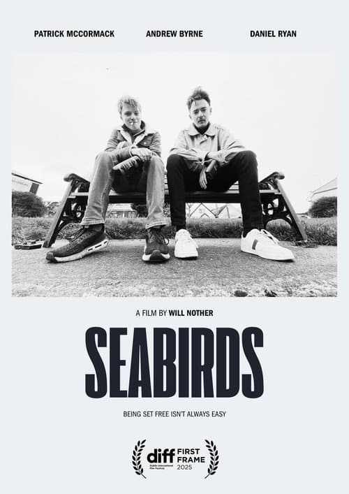 Seabirds (2025) poster