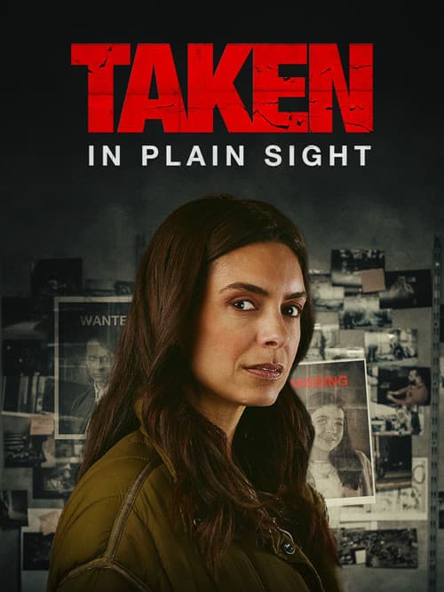 Taken in Plain Sight (2024) poster