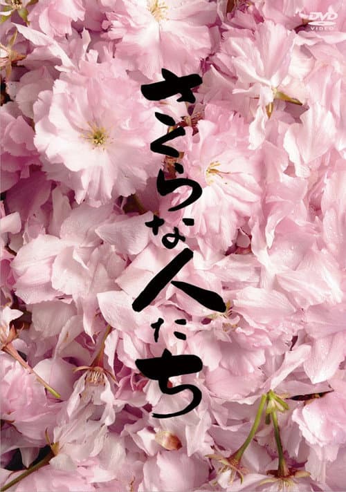 Looking for Cherry Blossoms (2009) poster