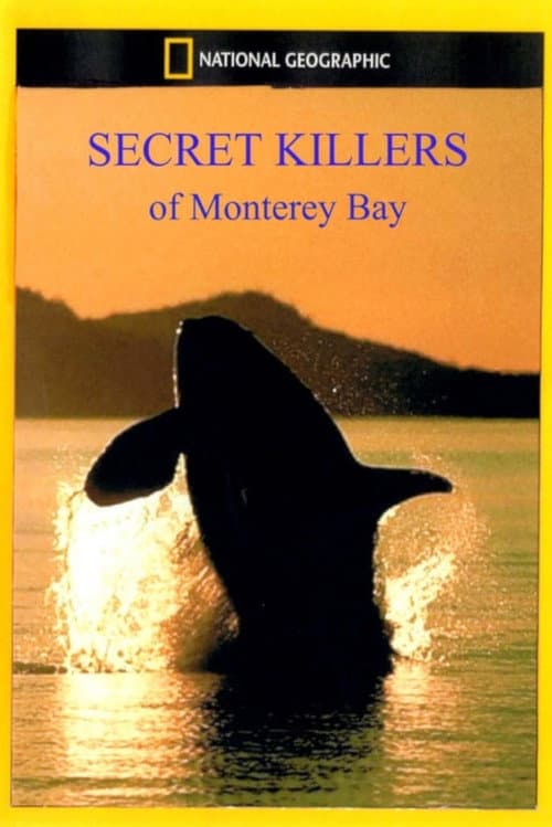 Secret Killers of Monterey Bay (2002) poster