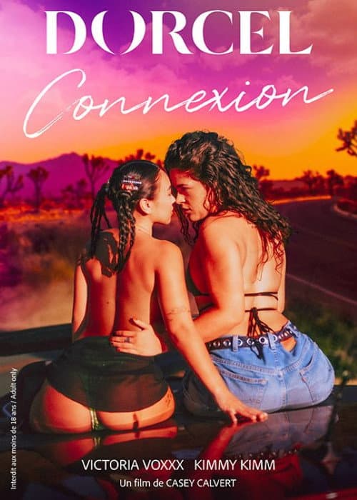 Connexion (2025) poster