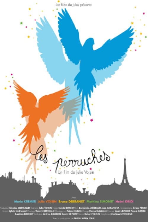 Les Perruches (2013) poster