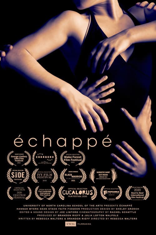 échappé (2020) poster
