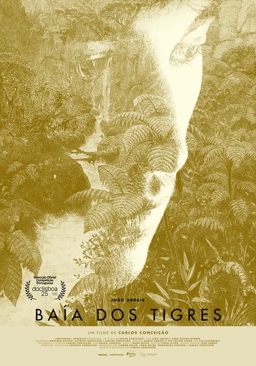 Baía dos Tigres (2025) poster