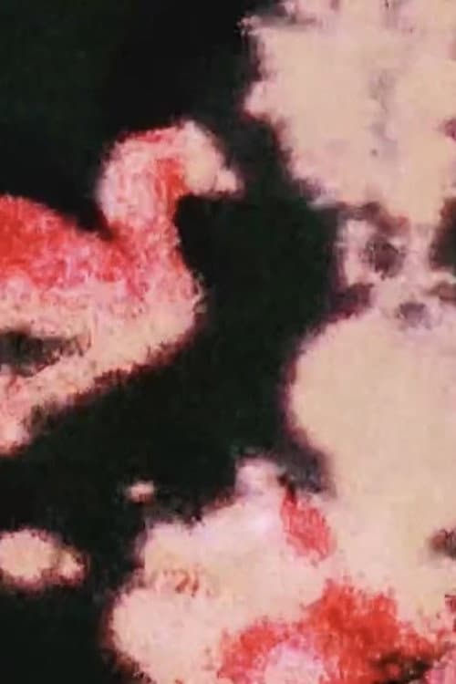 Hejira, Fragmented (2026) poster
