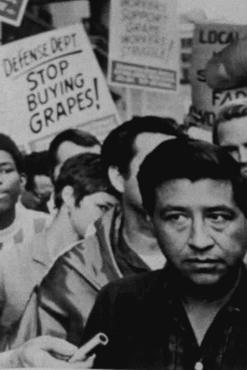 Stop Buying Grapes (1982) poster