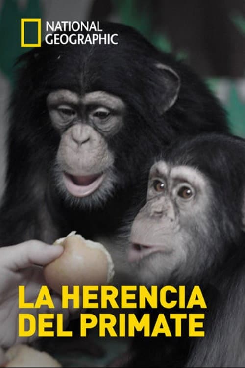 Human Ape (2009) poster