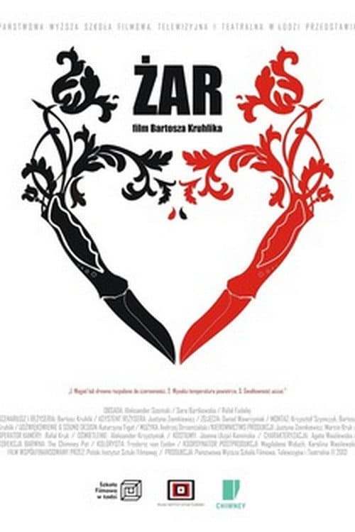 Żar (2013) poster
