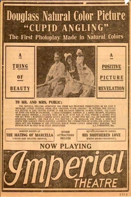 Cupid Angling (1918) poster