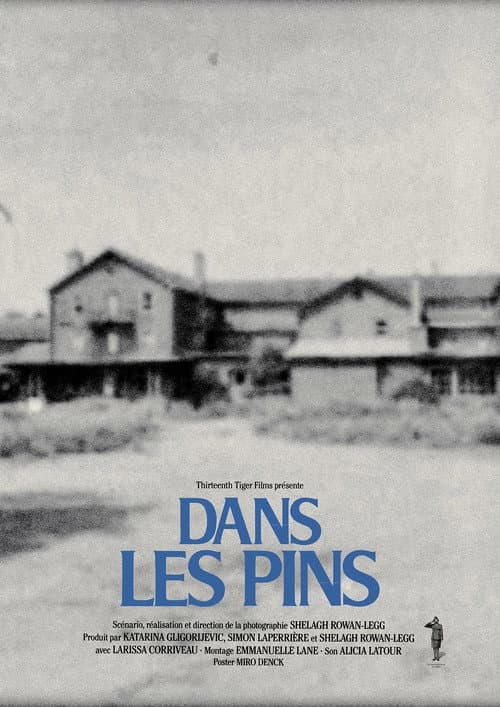 Dans les pins (2025) poster