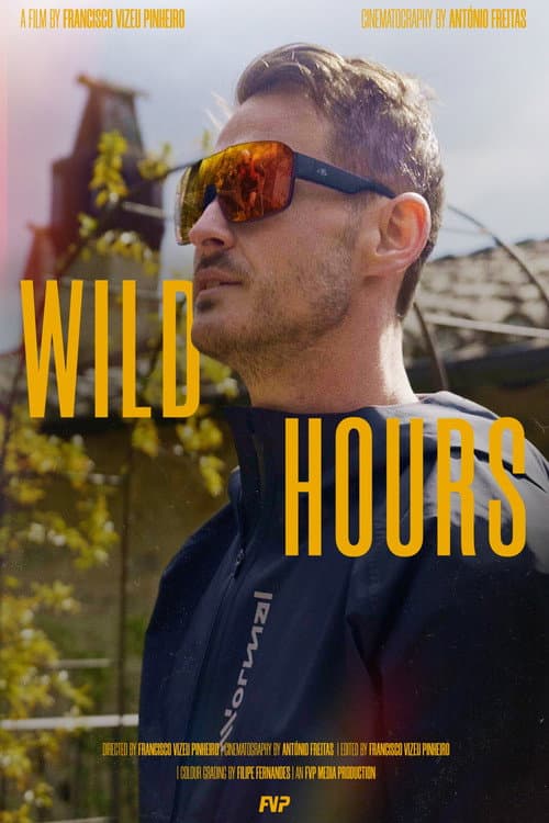 Wild Hours (2026) poster