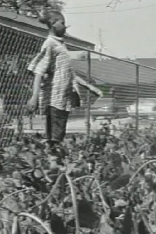 Imported (1999) poster
