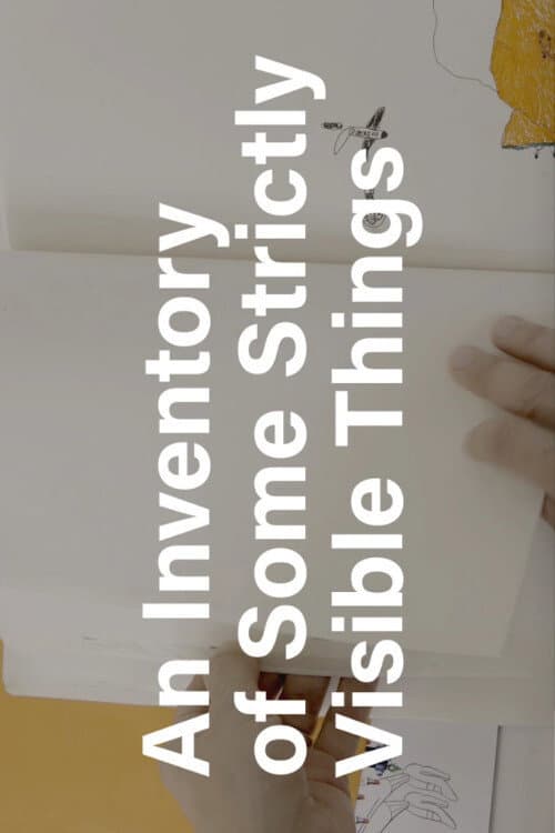 An Inventory of Some Strictly Visible Things (2017) poster